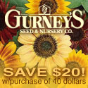 $20 off $40